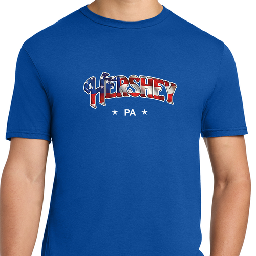 City Arc American Flag T-Shirt image thumbnail