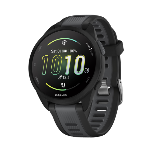 Garmin Forerunner 165 Smartwatch Black/Slate Gray image thumbnail
