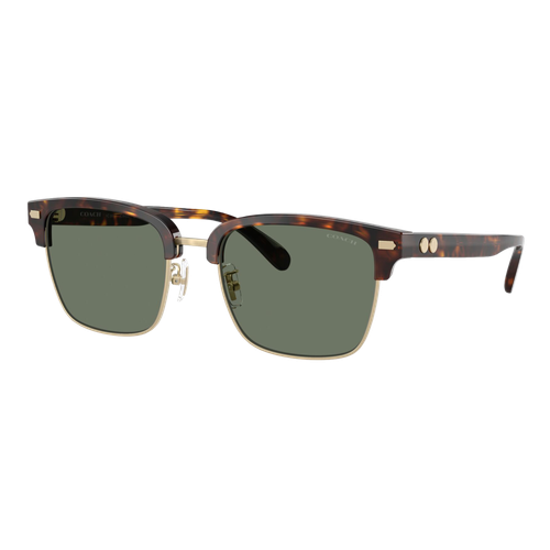 Coach Rogue Retro Sunglasses Light Gold-Dark Tortoise/Green Solid, Size 56 frame image thumbnail