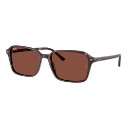 Image of Ray-Ban Raimond Sunglasses Polished Transparent Fantasy Violet-Red/Red, Size 56 frame