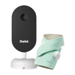 Image of Owlet Dream Duo (Gen 3) Mint