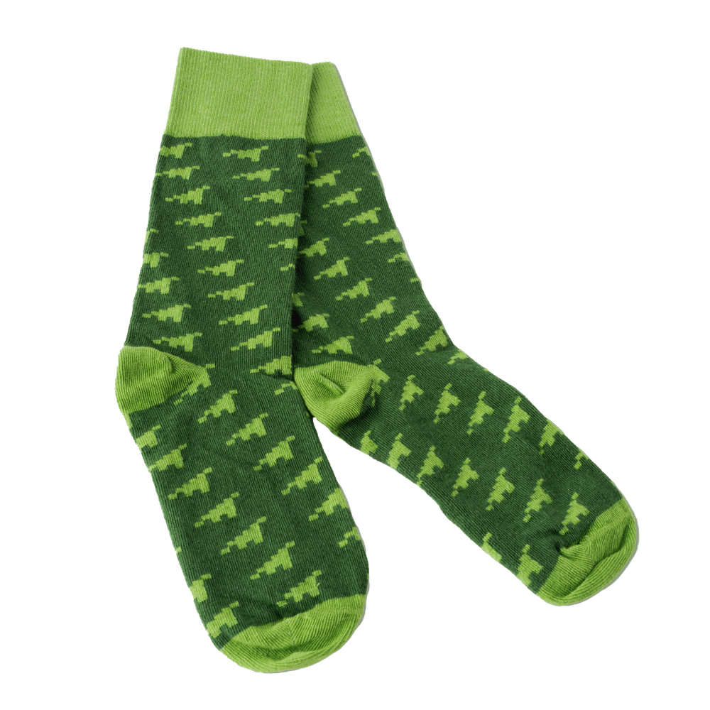 Dino Flora Socks primary image