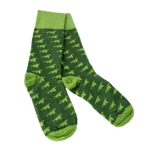 Image of Dino Flora Socks