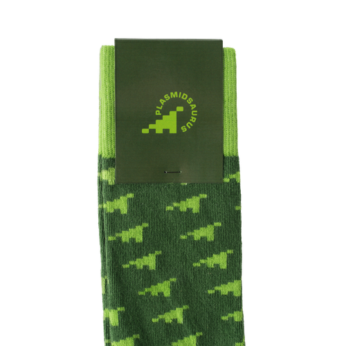 Dino Flora Socks image thumbnail