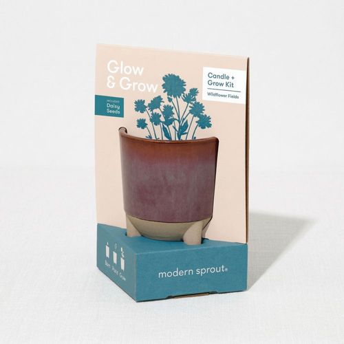 Modern Sprout Glow & Grow Live Well Gift Set image thumbnail