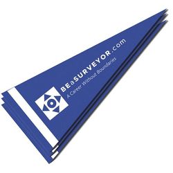 Image of Surveying Pennant