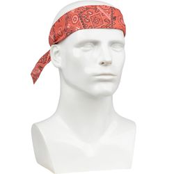 Image of Cooling Bandana