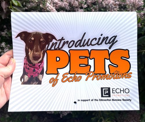 Pet's in the Park - Echo Office Pet's Calendar image thumbnail Pet's in the Park - Echo Office Pet's Calendar image thumbnail