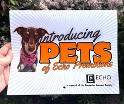 Image of Pet's in the Park - Echo Office Pet's Calendar