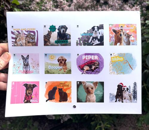 Pet's in the Park - Echo Office Pet's Calendar image thumbnail Pet's in the Park - Echo Office Pet's Calendar image thumbnail