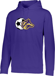 Image of Wicking Fleece Hoodie Boys Soccer