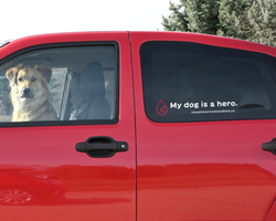 Image of Car Decals