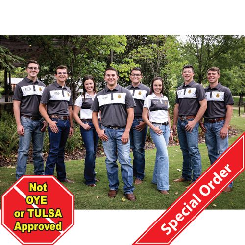 Ladies' Prism Bold Polo • XS-3XL image thumbnail