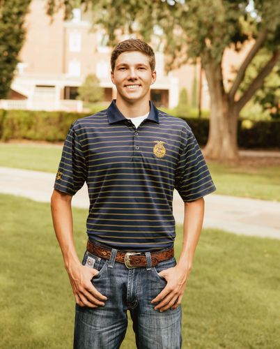 Men's Horizon Stripe Polo • S-4XL image thumbnail