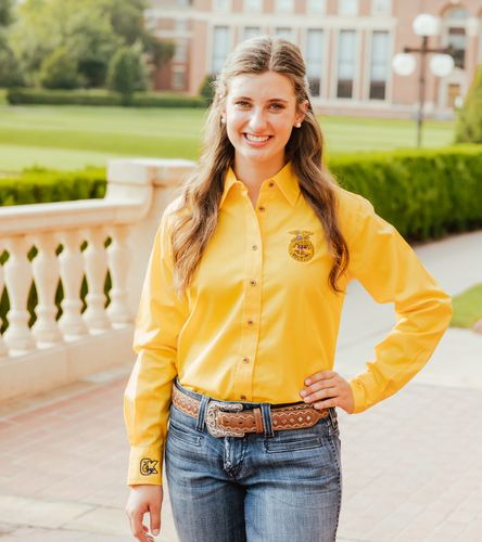 DISCONTINUED Ladies' Easy Blend Twill Gold Shirt • 2X-3XL image thumbnail