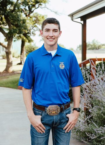 Men's Solid Royal Polo • XS-4XL image thumbnail