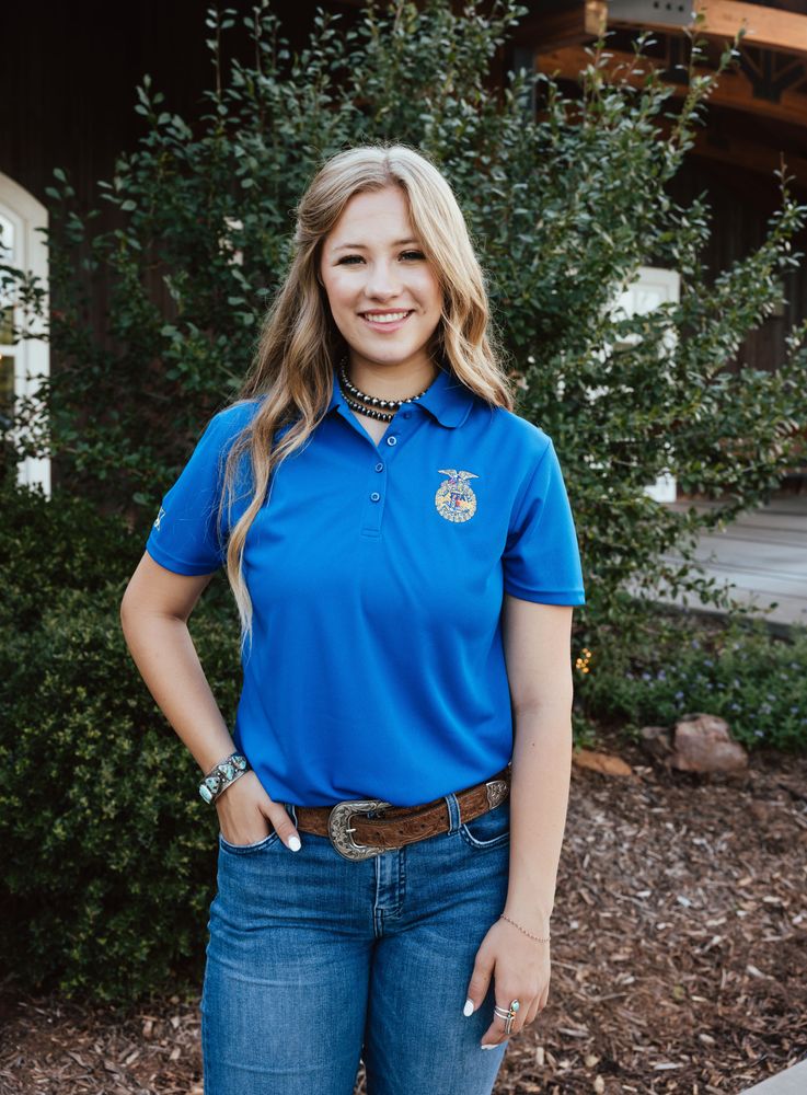 Ladies' Solid Royal Polo • XS-3XL primary image