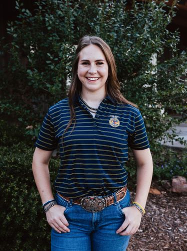 Ladies' Horizon Stripe Polo • XS-3XL image thumbnail