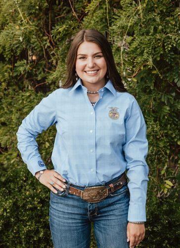 Ladies' Glen Plaid Shirt - Light French Blue • S-3XL image thumbnail