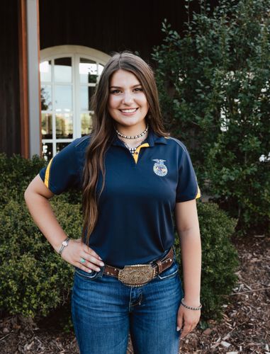 Ladies' LuxKnit Navy/Gold Polo • S-3XL image thumbnail