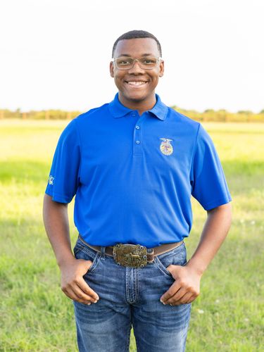 Men's Solid Royal Polo • XS-4XL image thumbnail