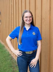 Image of Ladies' Solid Royal Polo • XS-3XL