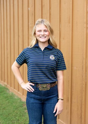 Ladies' Horizon Stripe Polo • XS-3XL image thumbnail
