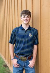 Image of Men's Horizon Stripe Polo • S-4XL