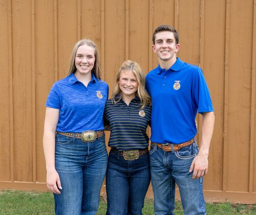 Ladies' Horizon Stripe Polo • XS-3XL image thumbnail