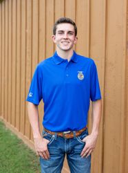 Image of Men's Solid Royal Polo • XS-4XL