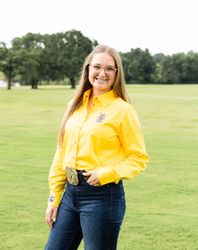 Image of Ladies' Easy Blend Twill Gold Shirt • XS-3XL