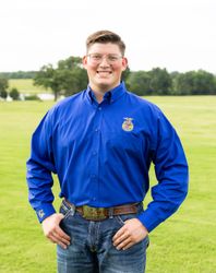 Image of Men's Easy Care Royal Shirt • S-4XL