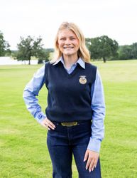 Image of Ladies' Dark Navy Sweater Vest • XS-2XL