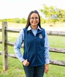 Image of Ladies' Navy Soft Shell Vest • XS-3XL