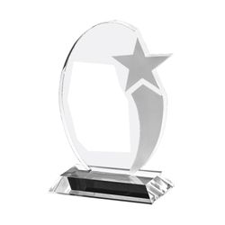 Image of Quarterly Awards: Designer Crystal Oval Star Award