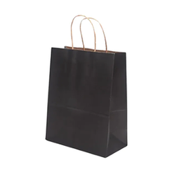 Image of Blank Paper Gift Bags