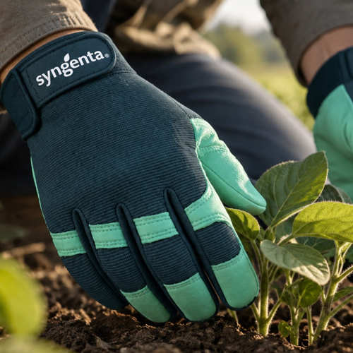 Work gloves image thumbnail