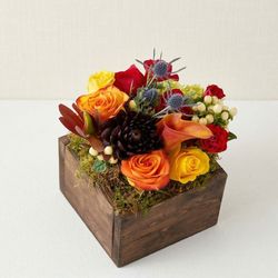 Image of Olive & Cocoa Farmhouse Fleur