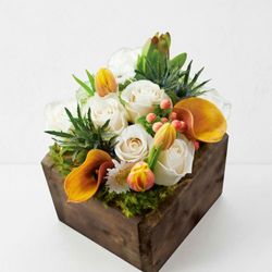 Image of Olive & Cocoa Fiore Bianco (Pre-Order for Late March Delivery)