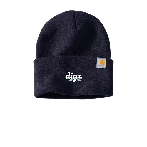 Carhartt Watch Cap 2.0   image thumbnail