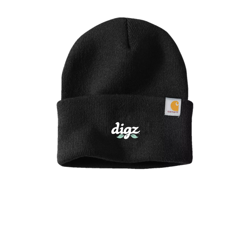 Carhartt Watch Cap 2.0   image thumbnail