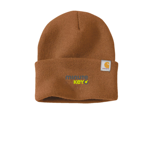 Carhartt Watch Cap 2.0   image thumbnail