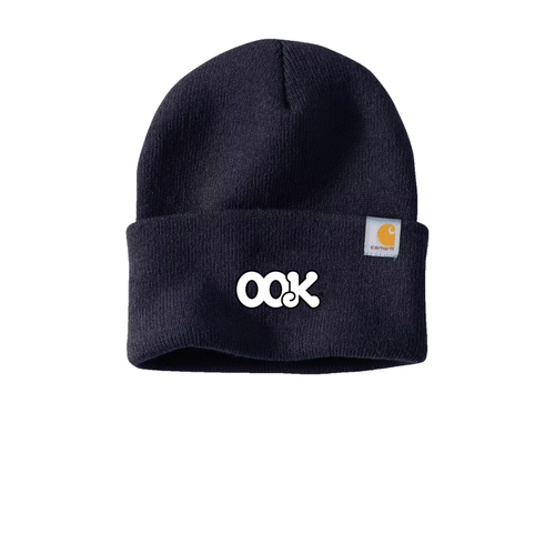 Carhartt Watch Cap 2.0  image thumbnail
