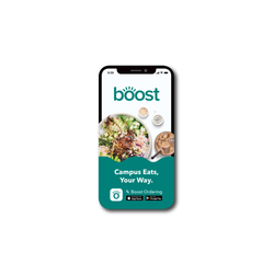 Image of Boost Handout Cards