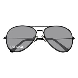 Image of Aviator Sunglasses