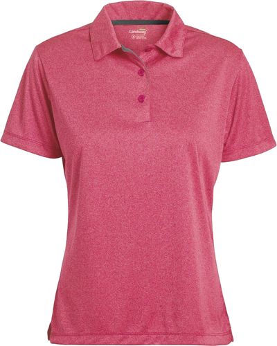 Ladies Vertex Active Dry Melange Polo image thumbnail