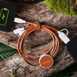 Image of TerraTone 3-In-1 Charging Cable