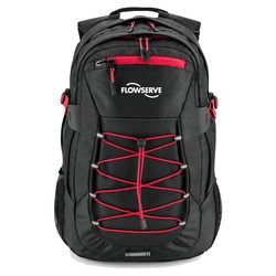 Image of Basecamp Globetrotter Laptop Backpack