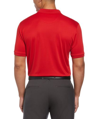Penguin Solid Polo image thumbnail