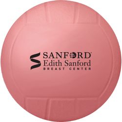 Image of Mini Vinyl Volleyball
